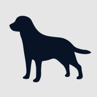 Barefoot Family Labs